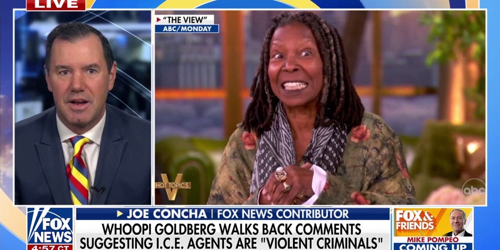Whoopi Goldberg called out for ICE agent comments: 'Crazytown has been expanded'