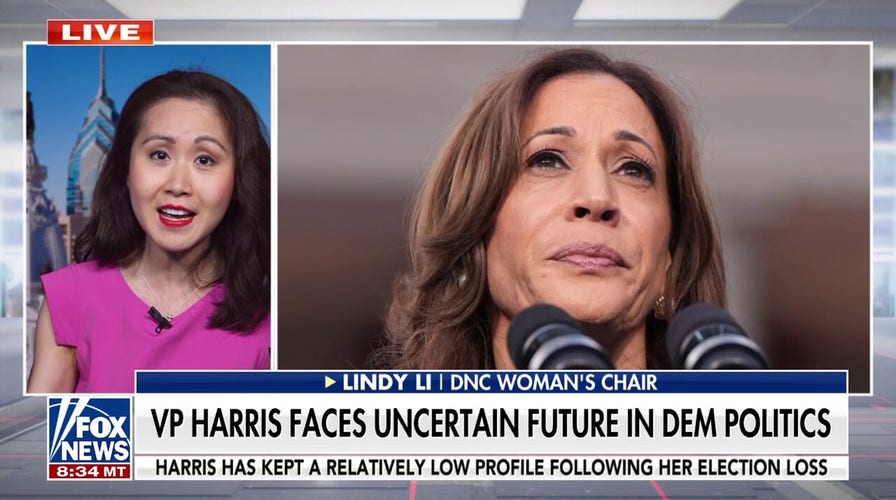 DNC fundraiser rips party for ‘indulging in delusions’ of a Kamala Harris comeback