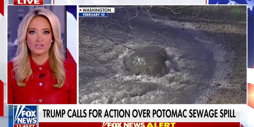250 million gallons of sewage have contaminated the Potomac River amid 'historic' spill