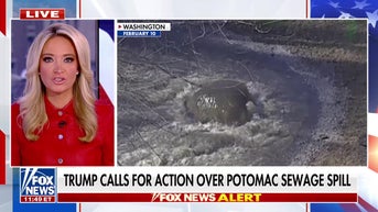 250M gallons of sewage have contaminated the Potomac River amid 'historic' spill - Fox News