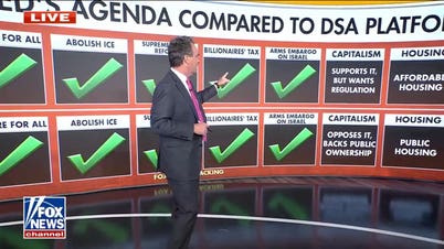 Abdul El-Sayed's agenda compared to socialist platform