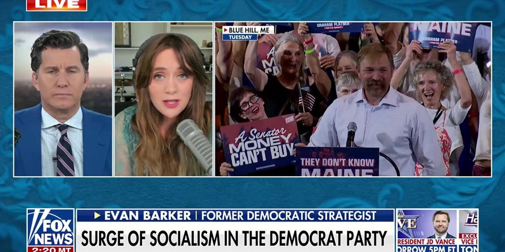 A wave of 'more Mamdanis' are on the way, says former Democratic strategist