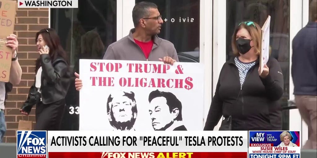 ‘Global Day of Action’ sees protesters rally against Tesla, Elon Musk
