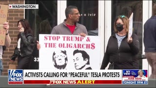 ‘Global Day of Action’ sees protesters rally against Tesla, Elon Musk