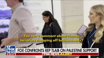 FOX Business reporter presses Rashida Tlaib on Palestine support