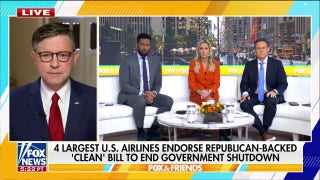 Mike Johnson calls out Democratic colleagues for 'prolonging' shutdown: 'We just want this to end'
