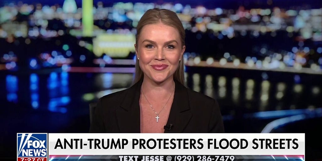 Dems have been completely captivated by 'far-left lunatics,' says Karoline Leavitt