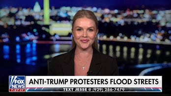 Dems have been completely captivated by 'far-left lunatics,' says Karoline Leavitt
