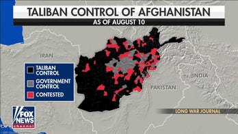 Taliban could take over Kabul within 90 days: report