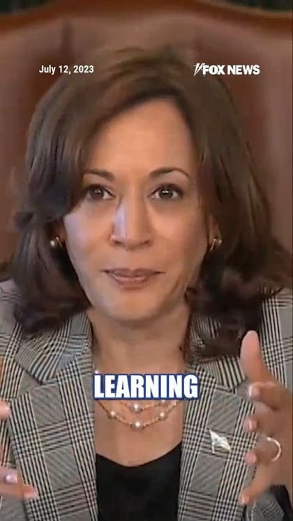 Kamala Harris explains AI: 'It's two letters'