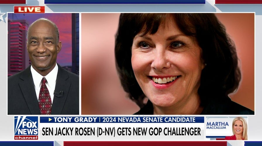 Former Air Force pilot joins race for key Nevada Senate seat 