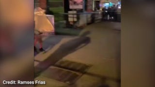 New York City brothel raid sees alleged sex workers and clients taken into custody