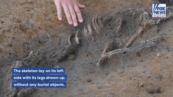7,000-year-old bones uncovered at construction site in startling find - Fox News
