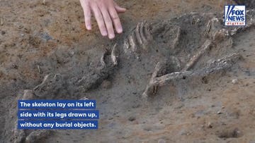 Prehistoric burial site stuns archaeologists with remarkable discovery