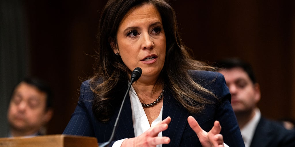 Elise Stefanik exposes rot in academia in new book, ‘Poisoned Ivies’