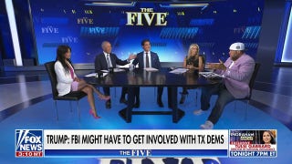 Watters: Dems think they’re Bonnie and Clyde, but their guns are loaded with ‘wimpy words’