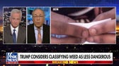 Trump administration considers reclassifying marijuana