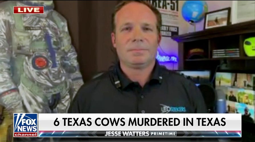 Could UFOs be behind Texas’ cow mutilations? 