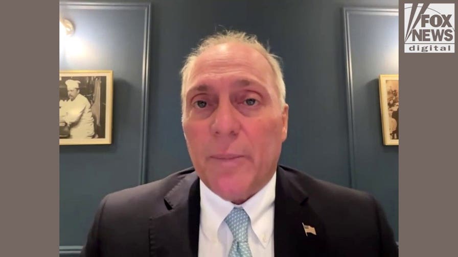 Scalise reveals what districts could give GOP big wins in midterms