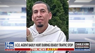 ICE agent badly injured after deadly traffic stop: Report