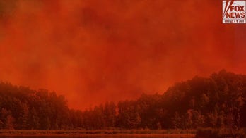 Climate change activists ignoring crucial factor behind wildfires: David Bernhardt