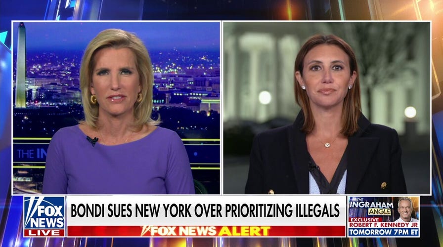 Democrats are ‘not winning’ Americans over with DOGE meltdown, Alina Habba claims