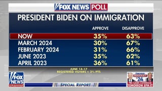 Is President Biden vulnerable on immigration? - Fox News