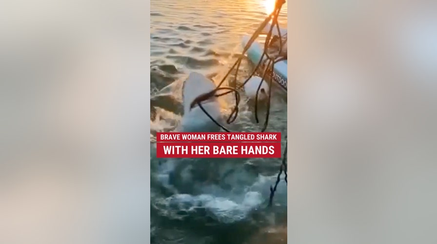 Woman bravely rescues a shark tangled in a fishing line with her bare hands