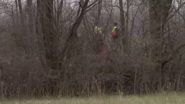 Pair out for walk hit by crashing plane in Indiana