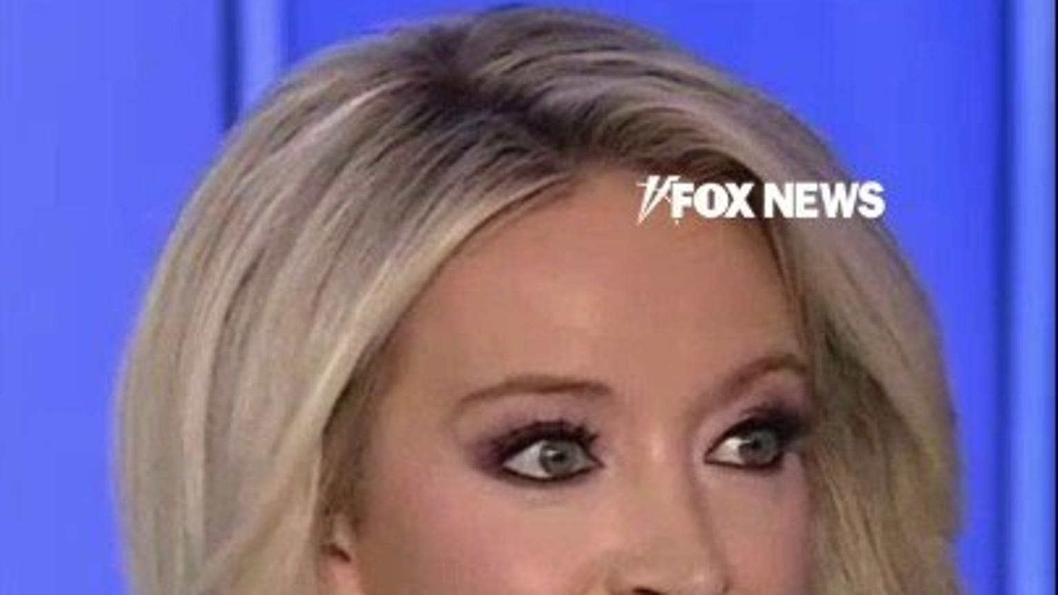 Kayleigh McEnany: Working-class Democrats don't support socialism, college-educated do