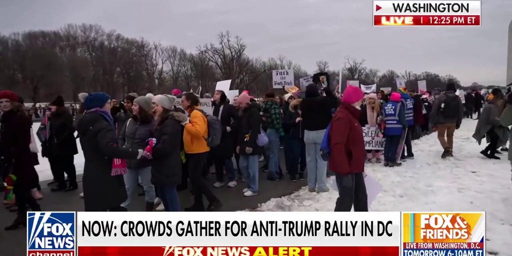 Crowds gather for anti-Trump rally in Washington, DC
