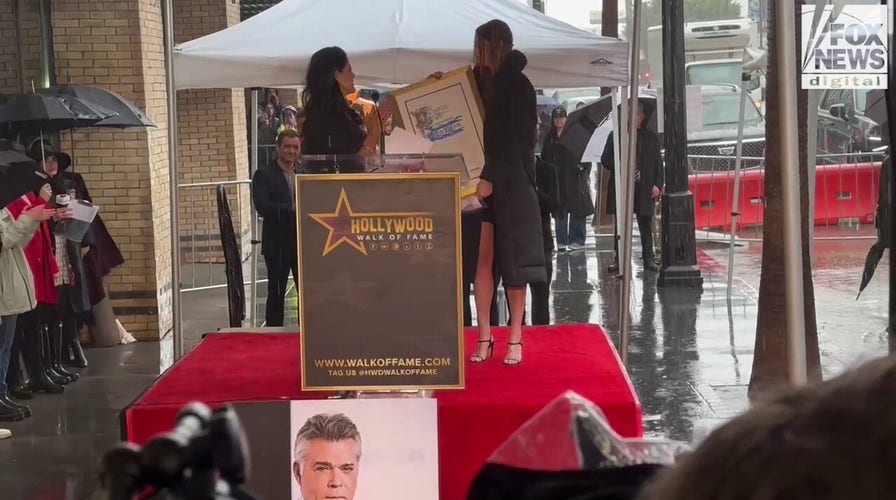 Hollywood Chamber of Commerce names February 24 'Ray Liotta Day'