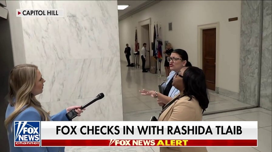 'I do not talk to Fox News!': Rashida Tlaib confronted over silence on 'Death to America' chants
