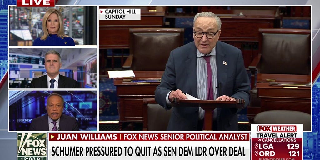 Democrats want a leader who is capable of ‘fighting’ Trump, says Juan Williams