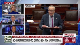 Democrats want a leader who is capable of ‘fighting’ Trump, says Juan Williams - Fox News