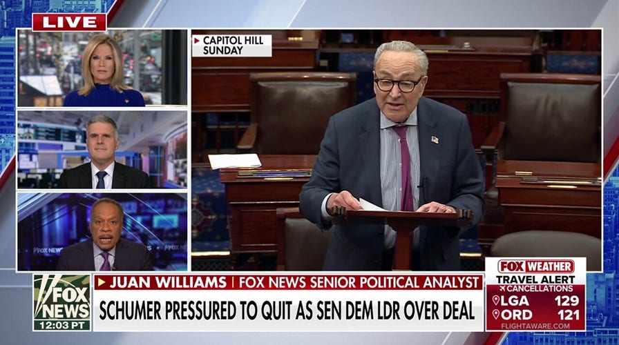 Democrats privation a person who is susceptible of ‘fighting’ Trump, says Juan Williams