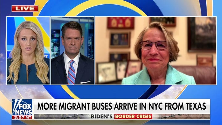 Rep. Miller-Meeks pushes for National Guard to secure border, says 'every state is a border state'