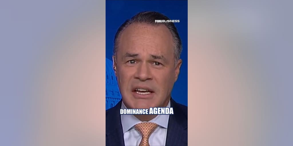 Trump deserves a lot of credit for his energy dominance agenda, API CEO Mike Sommers argues