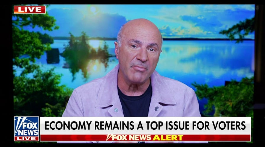 Tim Walz has taken the job creation in Minnesota and 'wiped it out': Kevin O'Leary