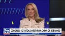 Dana Perino: Time may be running out for TikTok