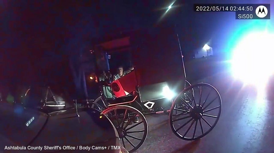 Horse-drawn Amish buggy crashes in police cruiser: ‘We got a drunk Amish guy’