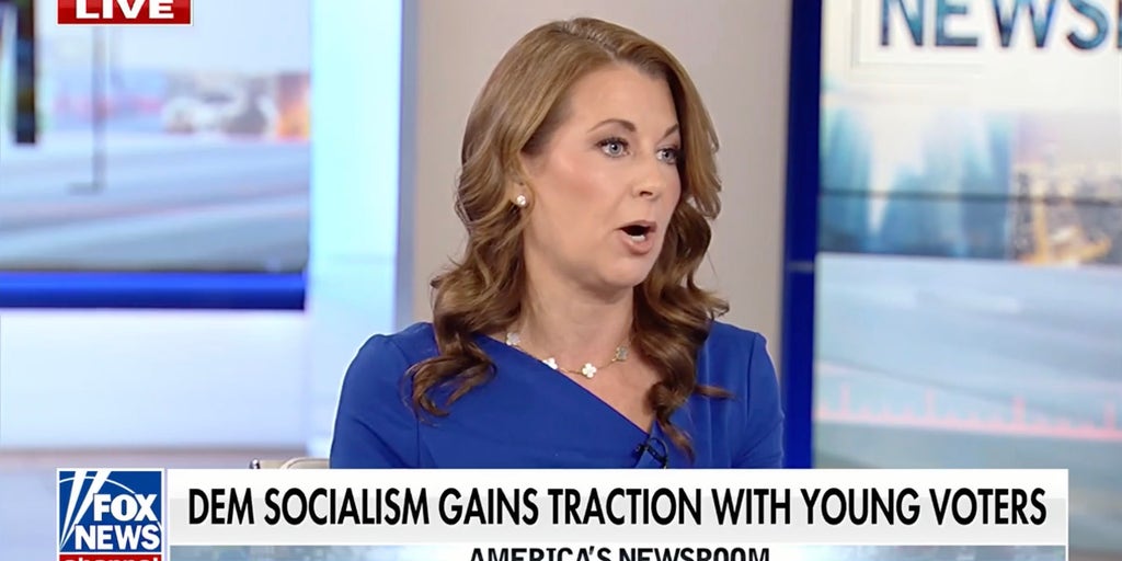 Democratic Socialists of America are 'extremists,' liberal strategist argues