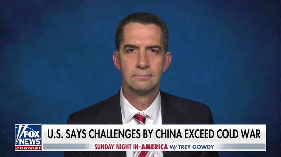 We need a president who will deter our adversaries: Sen. Tom Cotton