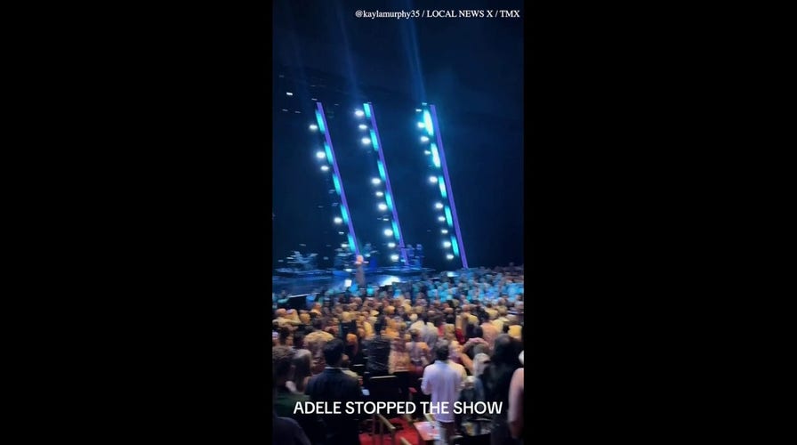 Adele stops mid-performance to yell at security for bothering a fan