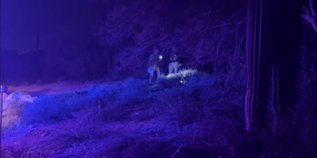 Pima County Sheriff's Forensic Team seen searching brush near Nancy Guthrie's home early Thursday