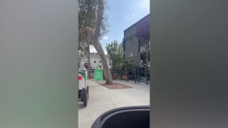 Delivery robot collides with California man’s mobility scooter