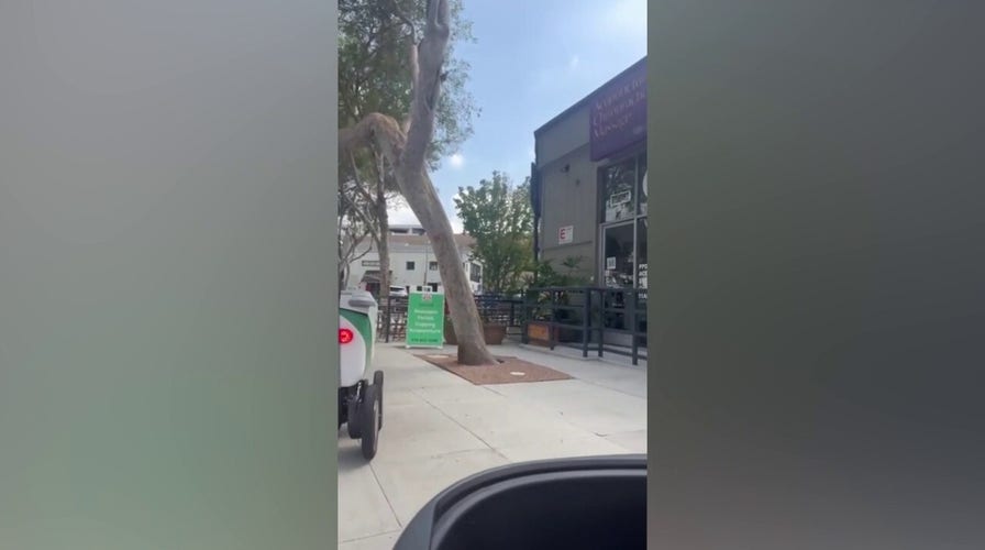 Delivery robot collides with California man’s mobility scooter