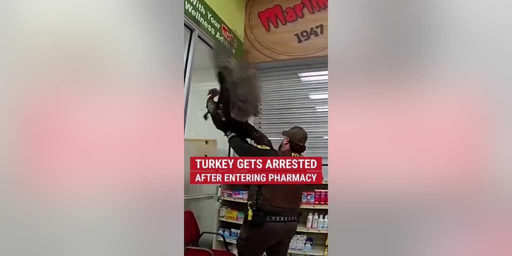 A turkey got arrested after trespassing into a pharmacy