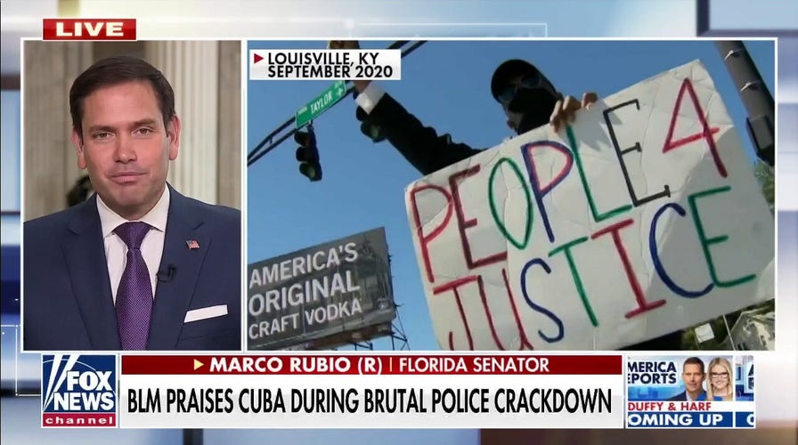 BLM is a Ponzi scheme shaking down corporations: Sen. Marco Rubio