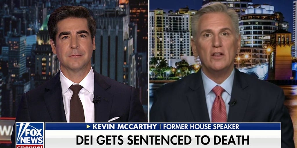 Kevin McCarthy: Americans voted to end DEI